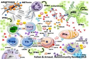 Liste Des Maladies Auto-immunes – CRMR Des Maladies Auto-immunes De ...