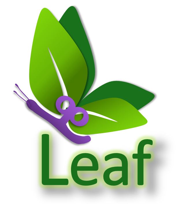 Lupus LEAF fatigue